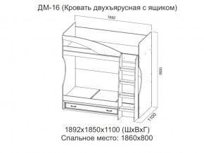 ДМ-16 Кровать двухъярусная с ящиком в Красновишерске - krasnovishersk.magazin-mebel74.ru | фото