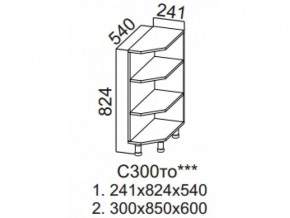 С300то Стол-рабочий 300 (торцевой открытый) в Красновишерске - krasnovishersk.magazin-mebel74.ru | фото