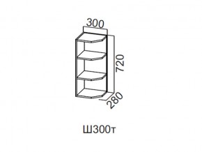 Ш300т/720 Шкаф навесной 300/720 (торцевой) в Красновишерске - krasnovishersk.magazin-mebel74.ru | фото