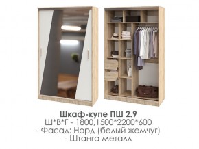 шкаф-купе ПШ-2.9 1500 Норд Белый жемчуг 1500 в Красновишерске - krasnovishersk.magazin-mebel74.ru | фото