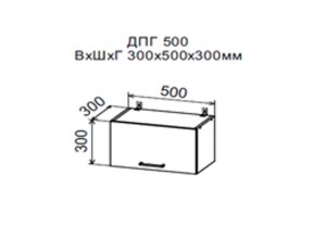 Шкаф верхний ДПГ500 горизонтальный в Красновишерске - krasnovishersk.magazin-mebel74.ru | фото