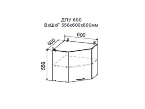 Шкаф верхний ДПУ600 угловой в Красновишерске - krasnovishersk.magazin-mebel74.ru | фото